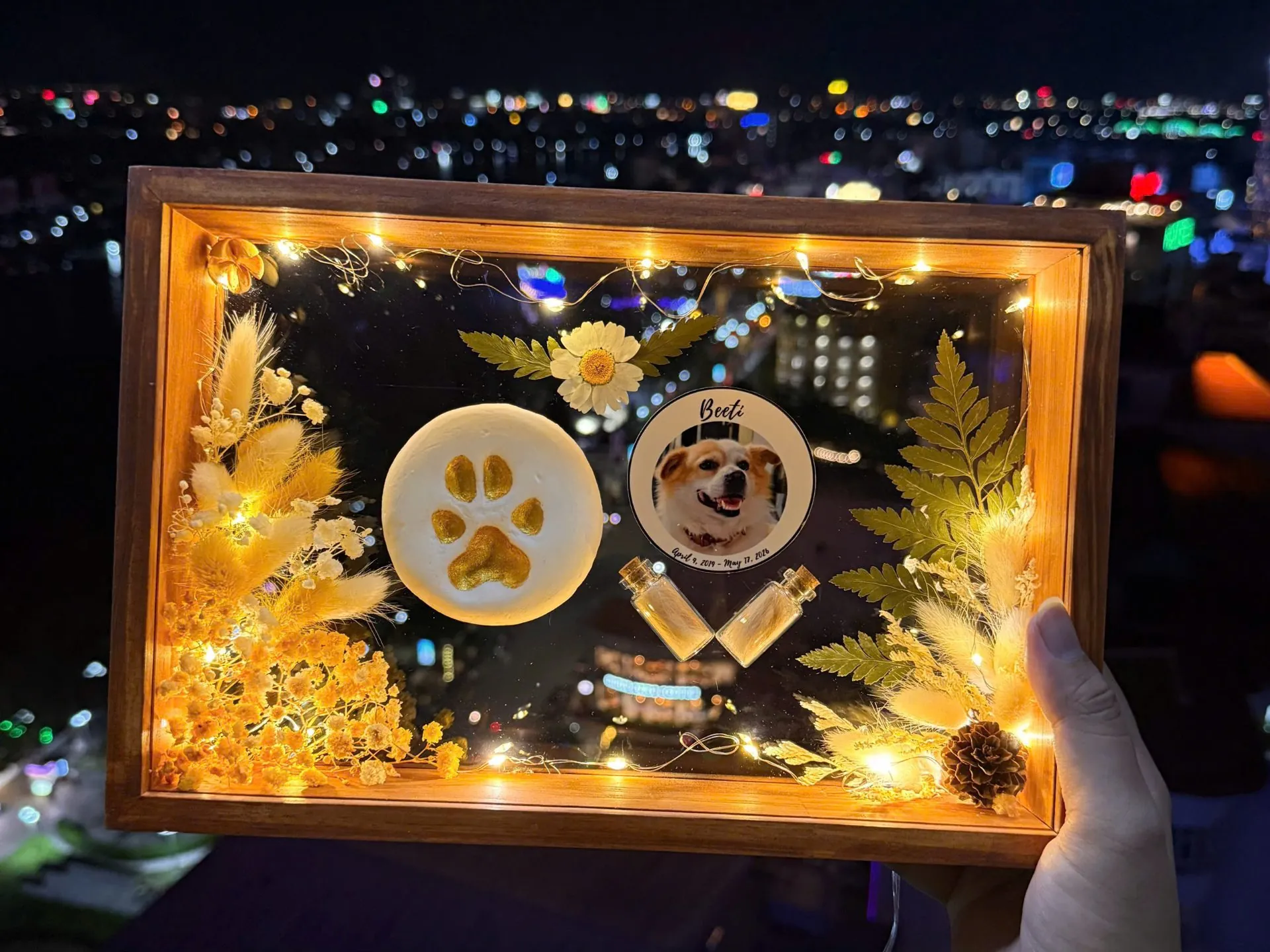 Pet Farewell – nơi mỗi cuộc chia tay đều được trân trọng